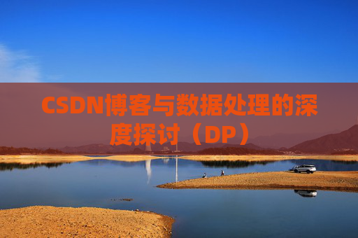 CSDN博客与数据处理的深度探讨（DP）